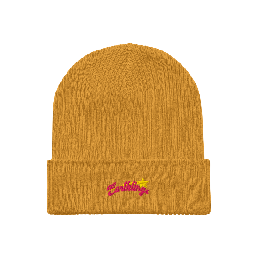 Earthbound Beanie